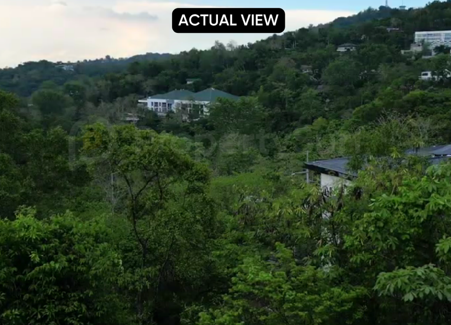 Parkridge Drive, Park Ridge, Santa Cruz, Antipolo, Rizal
