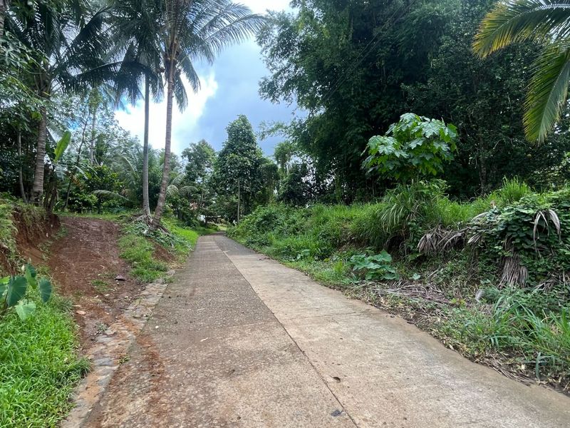 Eden Bayabas, Bayabas - Eden Rd, Toril, Lungsod ng Dabaw, Lalawigan ng Davao del Sur, Pilipinas - Photo 1