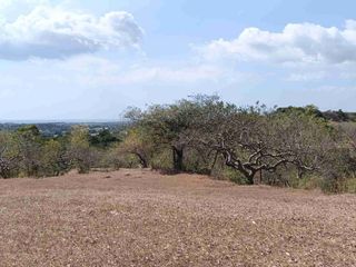 For Sale Agricultural Lot in Calatagan Batangas