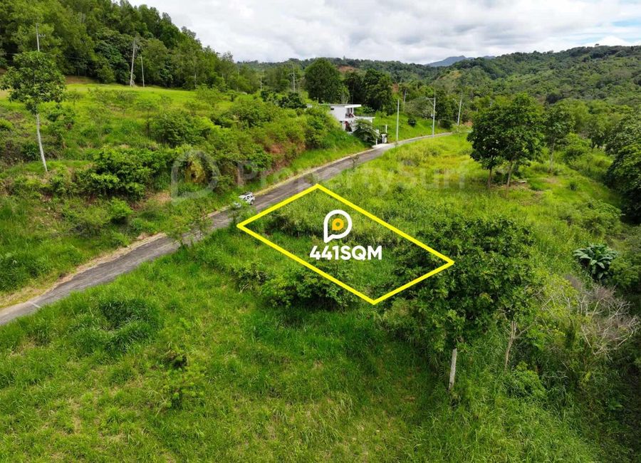 Forest Hills Avenue, Lower Tulakin, Bagong Nayon, Antipolo, Rizal