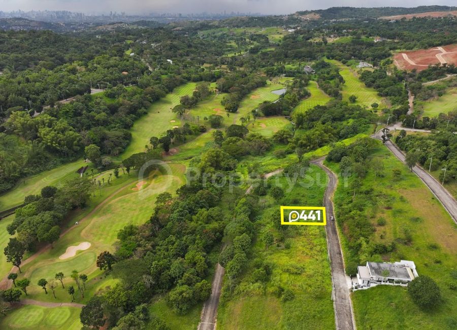 Forest Hills Avenue, Lower Tulakin, Bagong Nayon, Antipolo, Rizal image 2