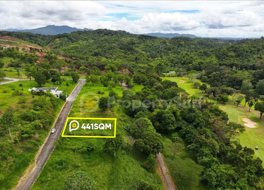 Forest Hills Avenue, Lower Tulakin, Bagong Nayon, Antipolo, Rizal image 3