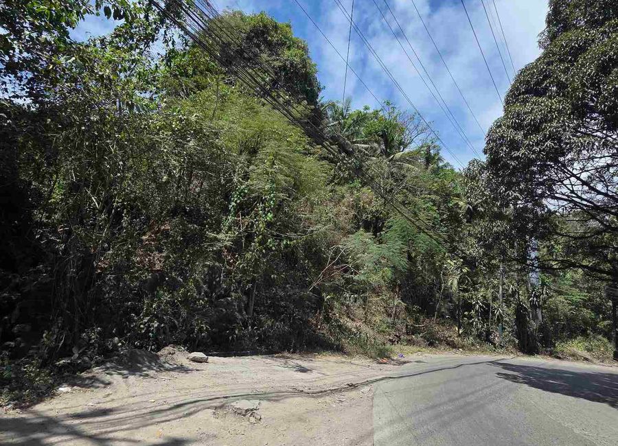 San Ysiro Valley, San Ysiro, Antipolo, Rizal image 2