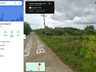 13,553 SQM | PRIME LAND NEAR PANGLAO AIRPORT – HIGH POTENTIAL INVESTMENT ✈️🌴