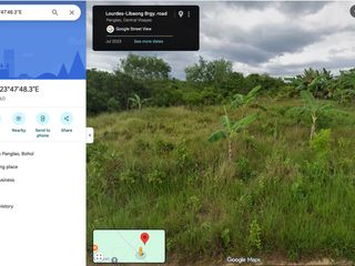 4,845 SQM | LAND NEAR PANGLAO AIRPORT – HIGH POTENTIAL INVESTMENT ✈️🌴