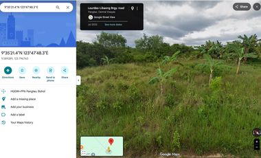 4,845 SQM | LAND NEAR PANGLAO AIRPORT – HIGH POTENTIAL INVESTMENT ✈️🌴
