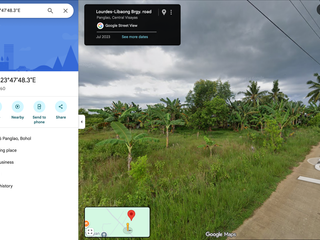 8,708 SQM | LAND NEAR PANGLAO AIRPORT – HIGH POTENTIAL INVESTMENT ✈️🌴