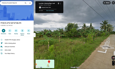 8,708 SQM | LAND NEAR PANGLAO AIRPORT – HIGH POTENTIAL INVESTMENT ✈️🌴