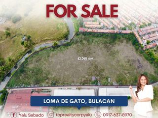 For Sale 42,068 sqm Industrial Lot in Loma De Gato, Bulacan