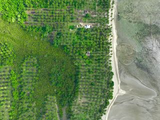 Beach Front Property For Sale in Quezon, Palawan Near Puerto Princesa