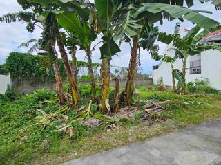 FOR SALE: Prime Residential Lot – Corona del Mar Subdivision