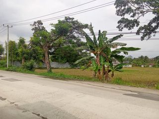 DIJUAL TANAH BESAR PINGGIR JALAN – DEKAT TOL RANGKASBITUNG