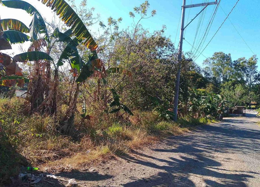 Narra Road, Southside, San Antonio, San Antonio Zone 3, San Pedro, Laguna image 2