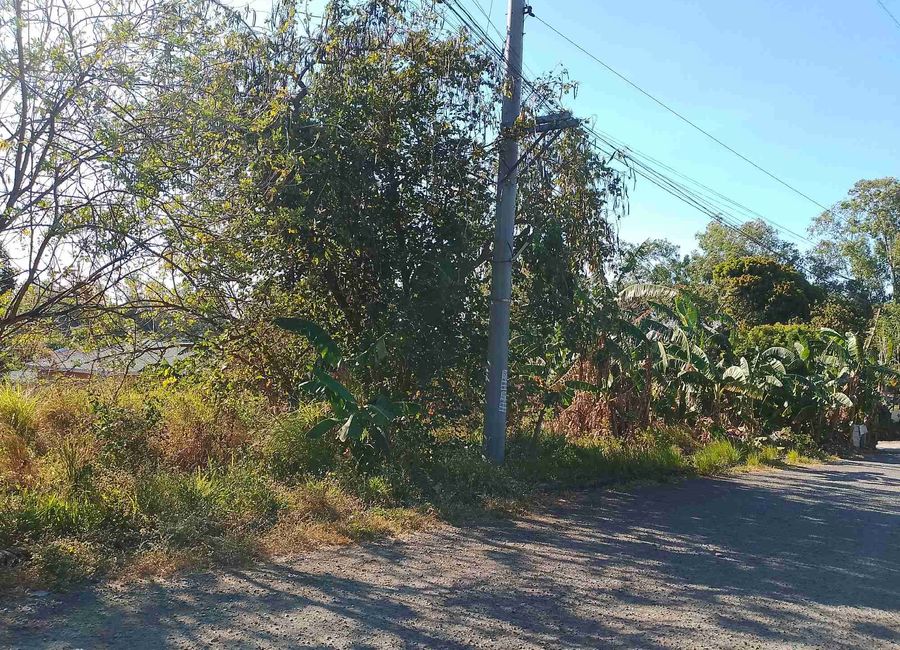 Narra Road, Southside, San Antonio, San Antonio Zone 3, San Pedro, Laguna image 3