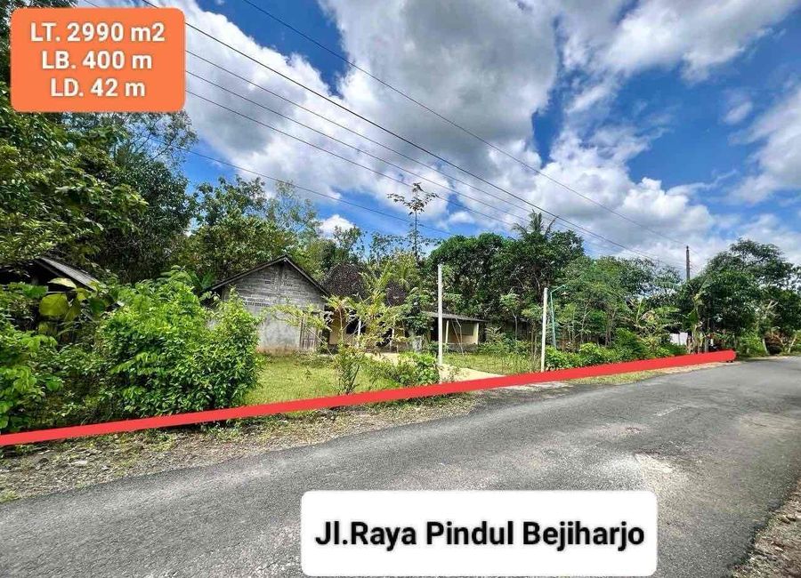 place photo 10