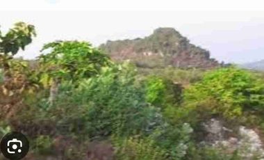 Tanah Ladang pertanian