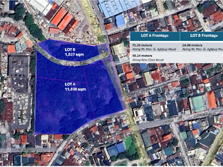 Property for lease in Mandaluyong City, Metro Manila