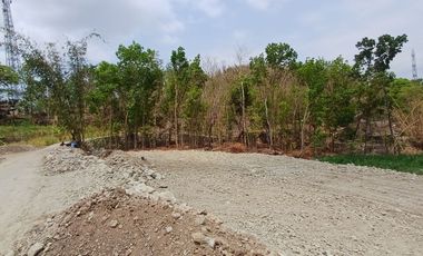 Tanah SHM Dekat Pasar Pleret Bisa Tempo Area Jl Banguntapan