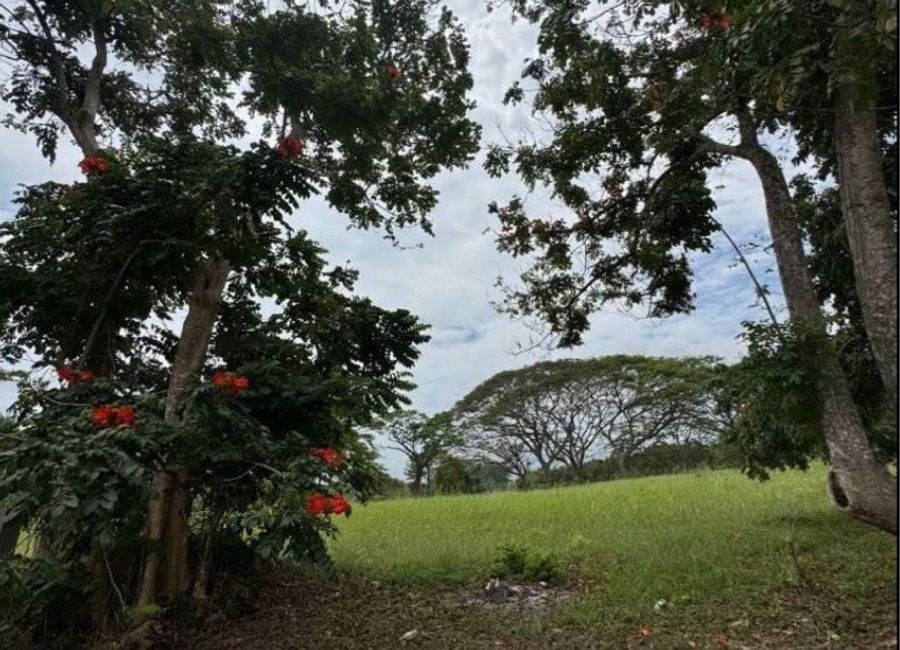 Provincial Road, Don Jose, Santa Rosa, Laguna image 2