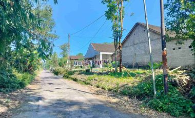 tanah pendowoharjo