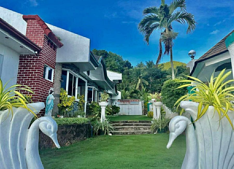 place photo 24