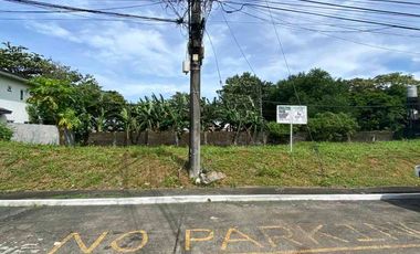 For Sale: 350sqm Vacant Lot in Tierra Nueva Subdivision, Muntinlupa City