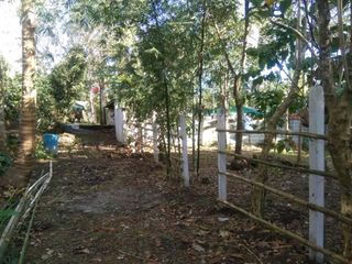 Farm Lot For Sale in Alfonso Cavite-MC