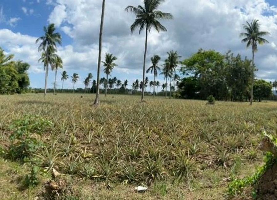 San Diego, San Pablo, Laguna