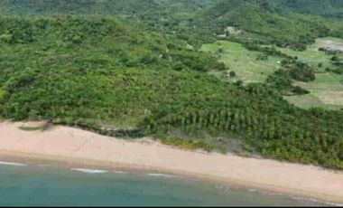 PREMIUM BEACHFRONT PROPERTY FOR SALE IN EL NIDO, PALAWAN 💫💫