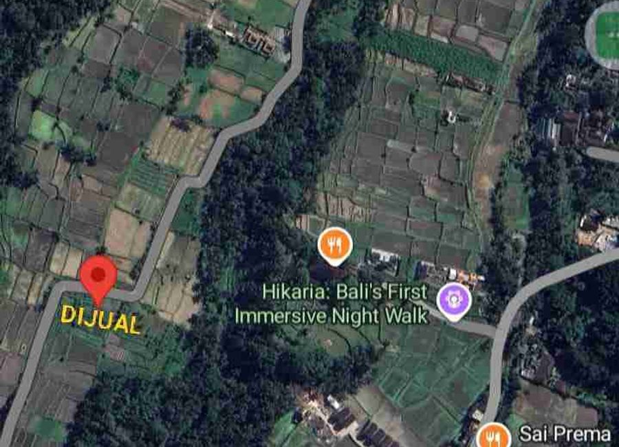 place photo 3