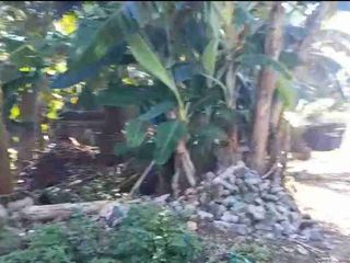 tanah kosong