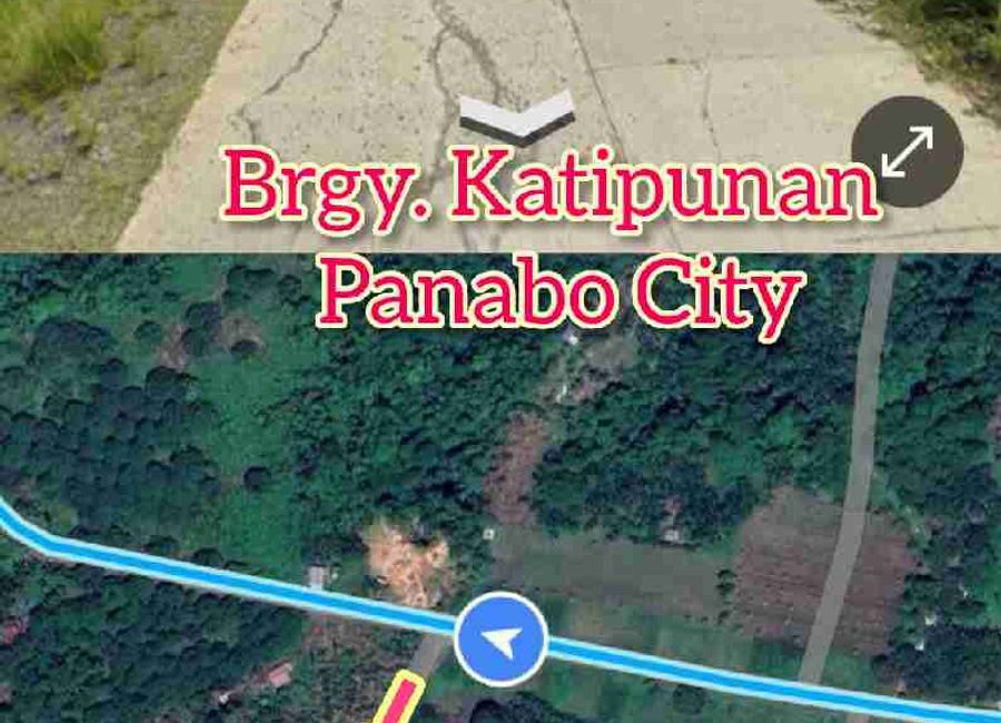 place photo 3