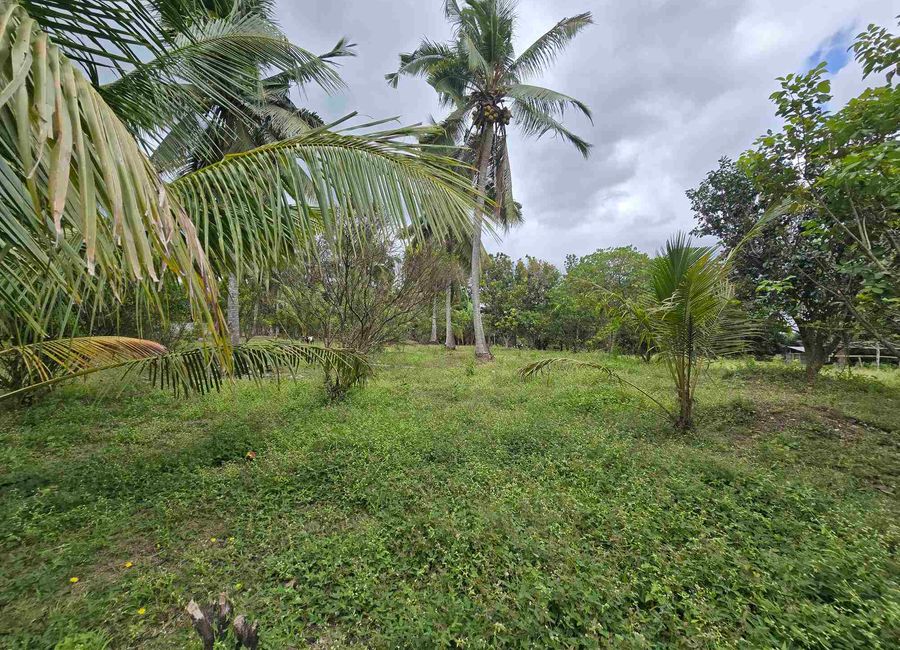 Batangas-Quezon Road, Poblacion, Sampaguita, San Antonio, 2nd District, Quezon image 2