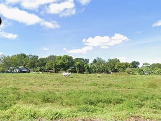 FOR SALE: AGRICULTURAL VACANT LOT  STA. MARIA BULACAN