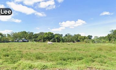 FOR SALE: AGRICULTURAL VACANT LOT  STA. MARIA BULACAN