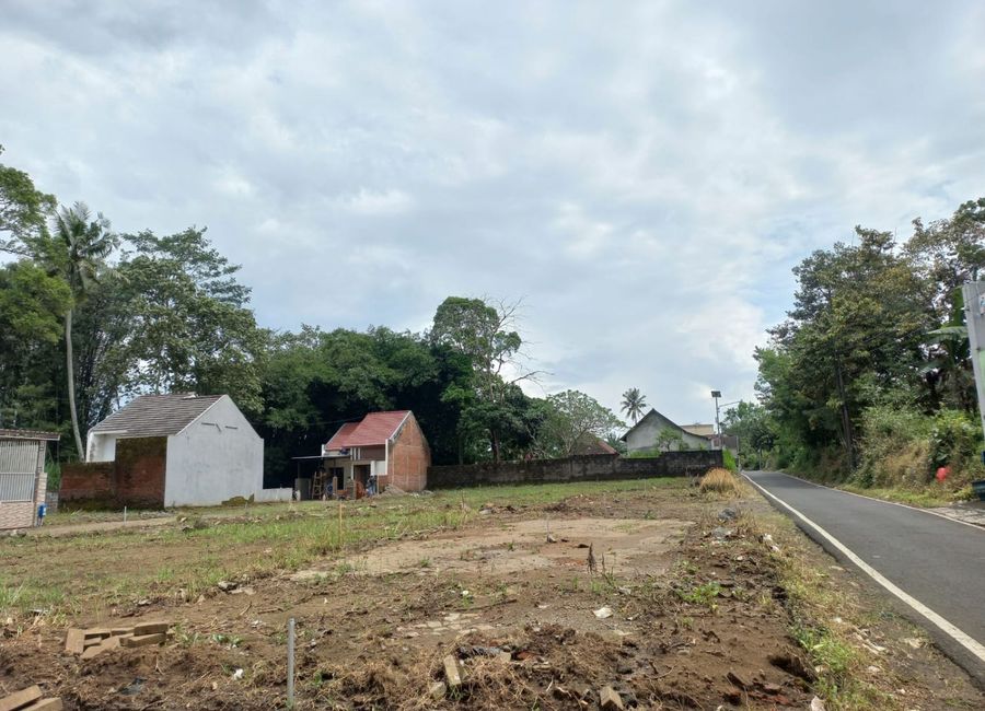 place photo 7