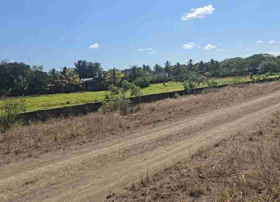 Batangas-Quezon Road, Poblacion, Sampaguita, San Antonio, 2nd District, Quezon