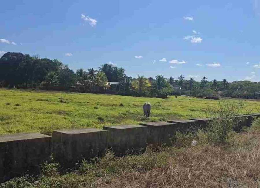 Batangas-Quezon Road, Poblacion, Sampaguita, San Antonio, 2nd District, Quezon image 3
