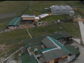 FARM PROPERTY IN STA IGNACIA TARLAC