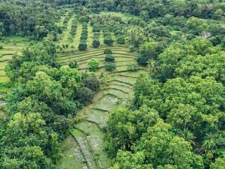 AGRICULTURAL LOT FOR SALE IN SIBUNAG GUIMARAS