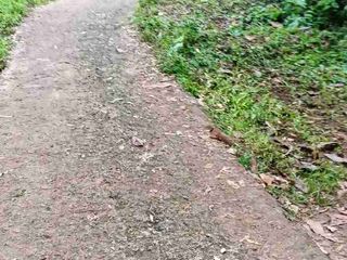 jual kebun murah harga per meter 21 ribu deket pemukiman warga