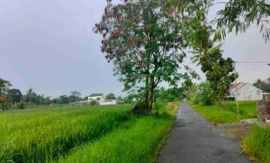 sawah Donoharjo Ngaglik