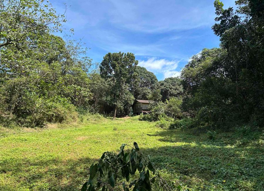 Pantay-Buhangin Road, Pantay, Dalig, Teresa, Rizal