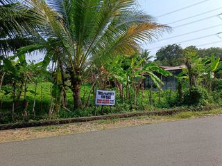 AGUILAR LOT PANGASINAN NR ROMULO NATIONAL HWAY