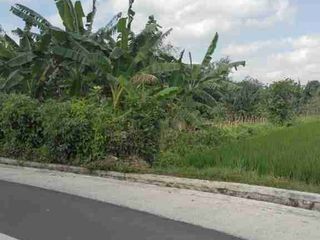 Tanah 4375 m2 Dkt Tanah Lot ,De Moksha Eco Friendly Belalang Tabanan Bali