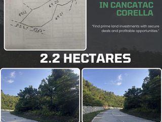 RAW LOT FOR SALE in CANCATAC CORELLA - 2.2 Hectares/800 per sqm