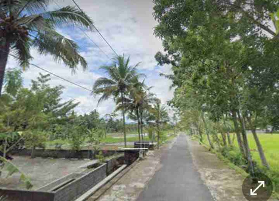place photo 9