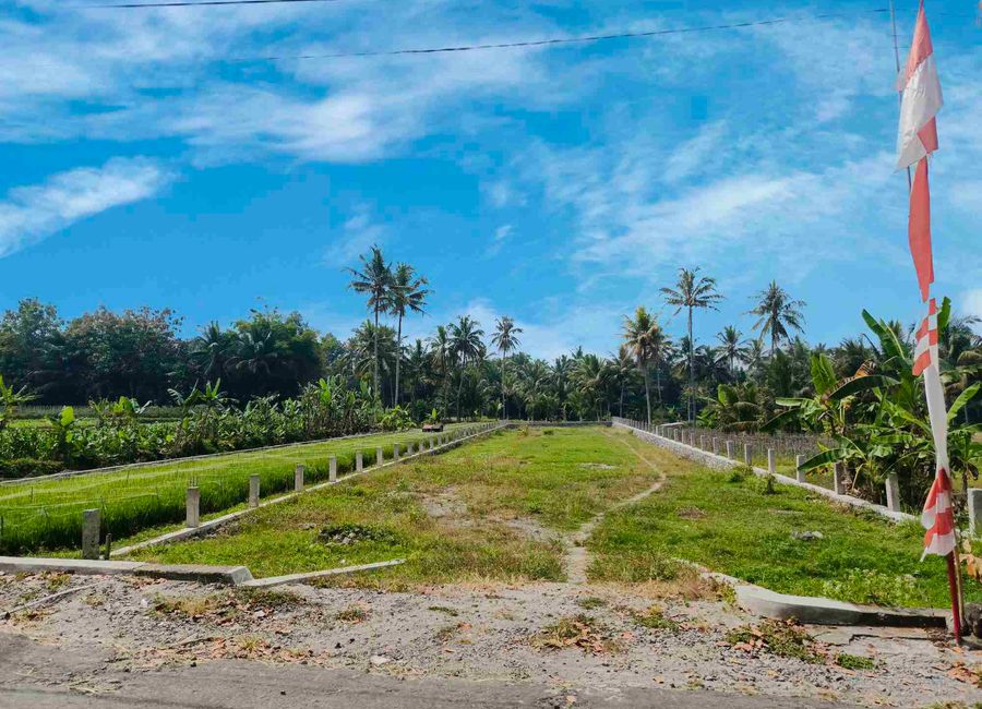 place photo 1