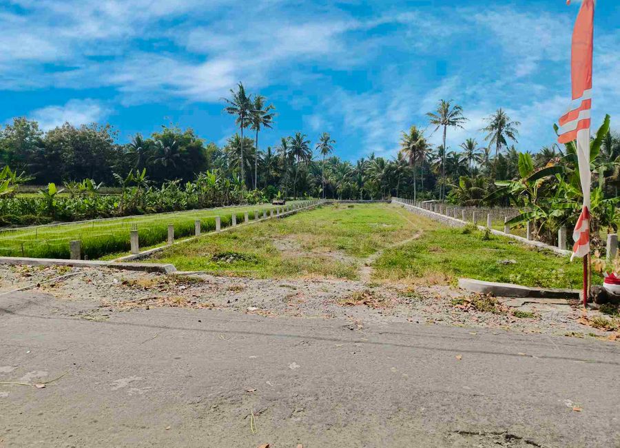 place photo 15