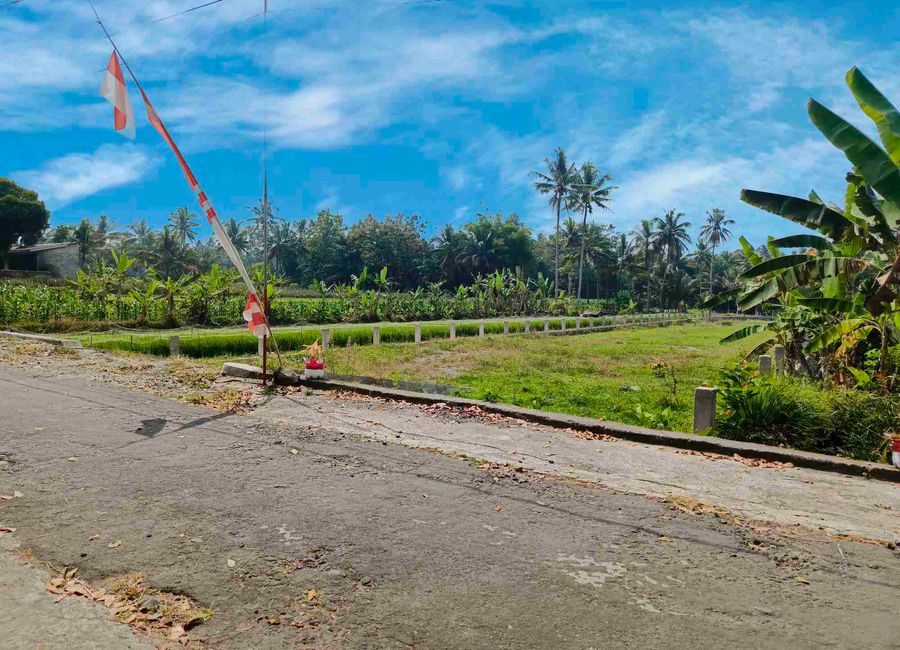 place photo 16